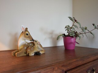 Maison de vacances Daverdisse  36