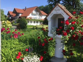 Ferienwohnung Wasserburg am Bodensee Außenaufnahme 7