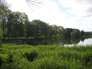 Achterwasser ruhig und idyllisches  Achterwasser