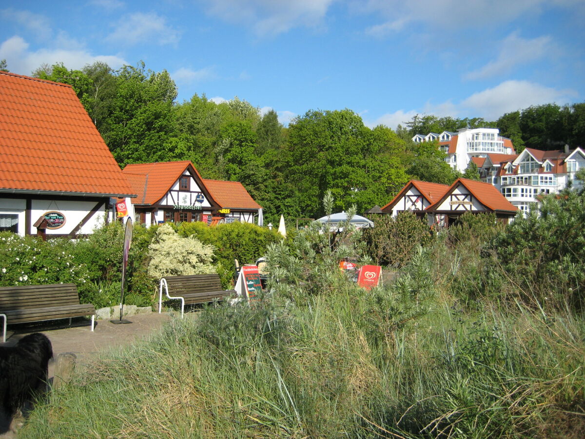 Carin Winter Das Haus Hinter Den Dünen