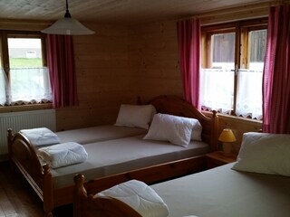 Alpenhut Hüttau Kenmerken 13