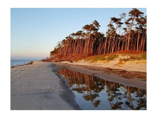 Weststrand Darß im Abendlicht November 2020