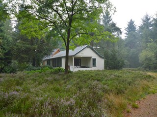 Vakantiehuis Heeze-Leende Buitenaudio-opname 6