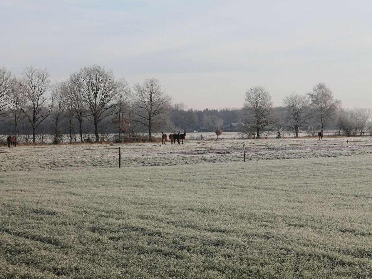 Ferienhaus Heeze-Leende Umgebung 24