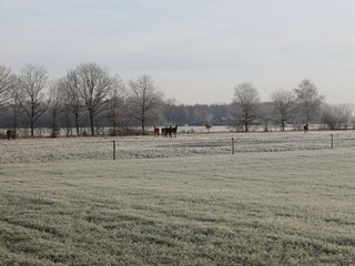 Vakantiehuis Heeze-Leende Omgeving 24