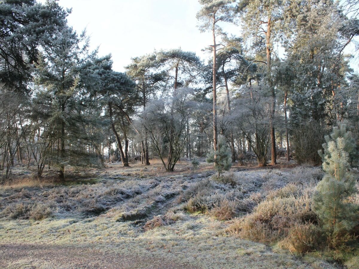 Ferienhaus Heeze-Leende Umgebung 25