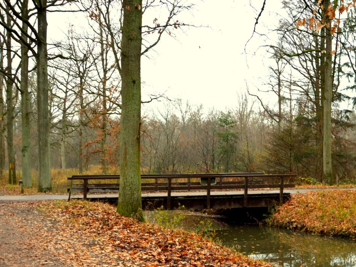 Ferienhaus Heeze-Leende Umgebung 26