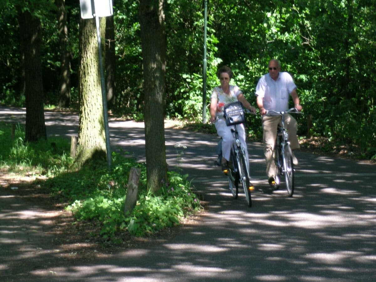 Ferienhaus Heeze-Leende Umgebung 27