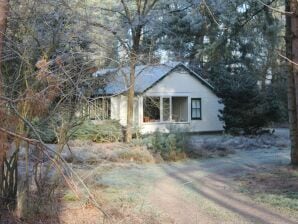 Ferienhaus in Maarheeze am Wald - Heeze-Leende - image1