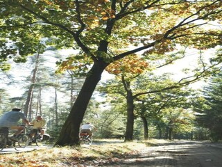 Ferienhaus Heeze-Leende Umgebung 27