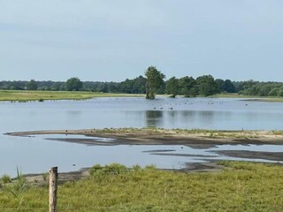 Maison de vacances Heeze-Leende Environnement 37