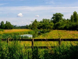 Casa per le vacanze Heeze-Leende Ambiente 26