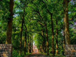 Vakantiehuis Heeze-Leende Omgeving 40