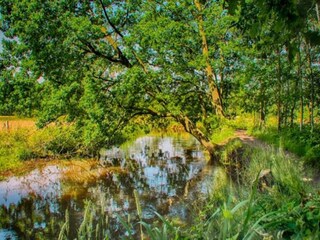 Vakantiehuis Heeze-Leende Omgeving 33