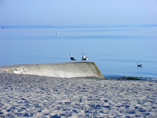 Strandstilleben