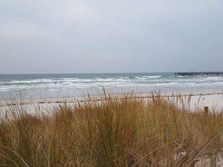 Lange Spaziergänge am Strand werden garantiert...