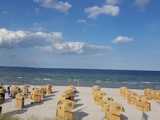 Einen Strandkorb kann man gerne täglich buchen