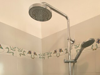 Apartamento de vacaciones Torri del Benaco Características 28