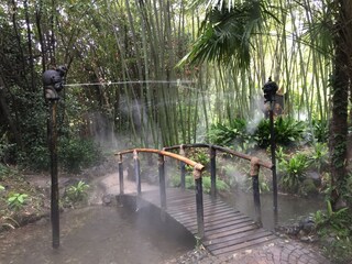 Apartamento de vacaciones Torri del Benaco Entorno 38