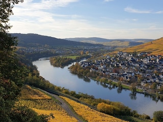 Herbst an der Mosel