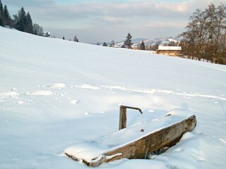 Gleich oberhalb des Hauses