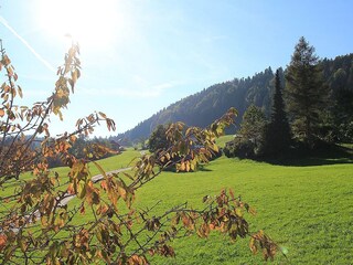 Appartamento per vacanze Alberschwende Registrazione all'aperto 3