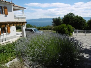 Villa Labin Buitenaudio-opname 9