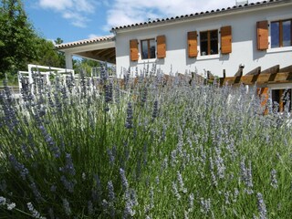 Villa Labin Buitenaudio-opname 15
