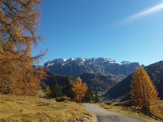Appartamento per vacanze Wolkenstein in Gröden Ambiente 15