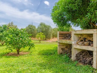 Villa Sa Pobla Buitenaudio-opname 19