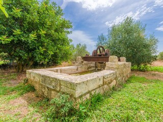 Villa Sa Pobla Buitenaudio-opname 22