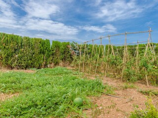 Villa Sa Pobla Buitenaudio-opname 23