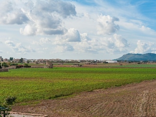 Villa Sa Pobla Ambiente 48