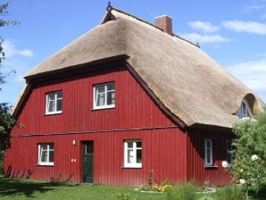 Ferienwohnung 2 (Apfelbaumwohnung) im Haus Meuder - Zingst - image1