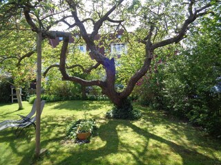 Apfelbaum