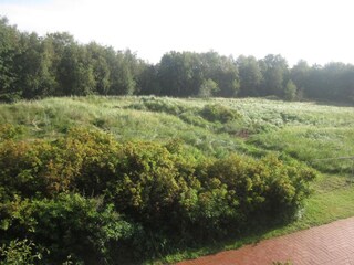 Blick in die Dünenlandschaft vor dem Hauseingang