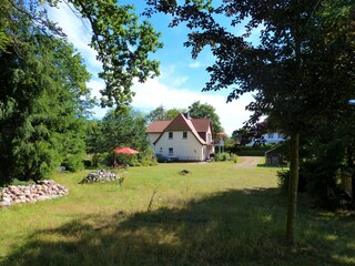 Ansicht vom Wald mit Blumenwiese