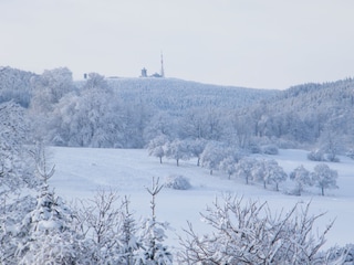 Maison de vacances Ilsenburg Environnement 2