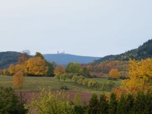 Ferienhaus Emely - Ilsenburg - image1