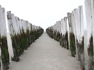 Villa Kamperland Ambiente 17