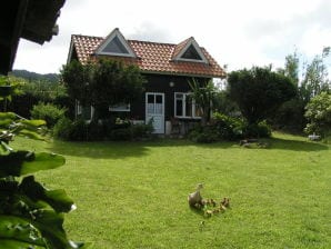 Ferienhaus Casa Verde - Ginetes - image1