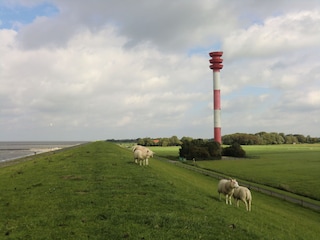 Leuchtturm am Deich