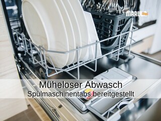 Dishwasher & tabs included