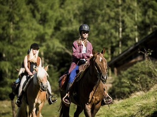 Appartamento per vacanze Sand in Taufers Ambiente 40