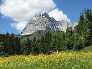 Chalet Kirchdorf in Tirol Omgeving 18