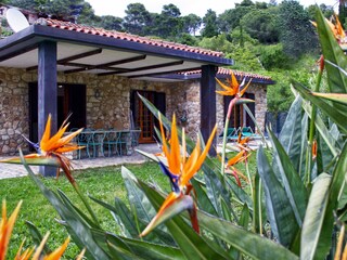 Casa per le vacanze Capoliveri Registrazione all'aperto 4