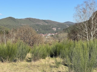Blick aufs Dorf