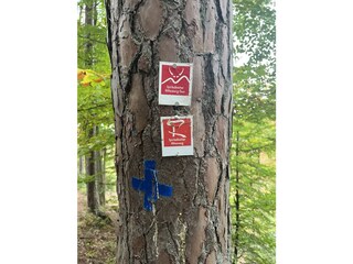 Wunderschöne Premiumwanderwege