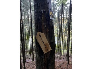 Ferienhaus Spirkelbach Umgebung 31