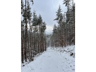 Ferienhaus Spirkelbach Umgebung 33